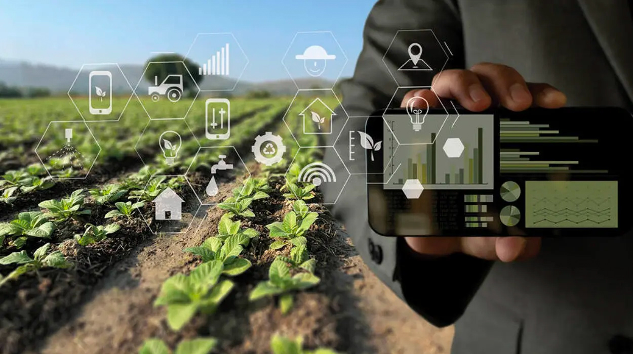 IoT